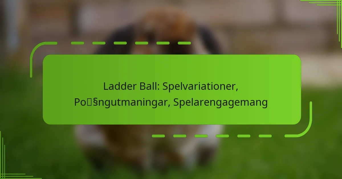 Ladder Ball: Spelvariationer, Poängutmaningar, Spelarengagemang