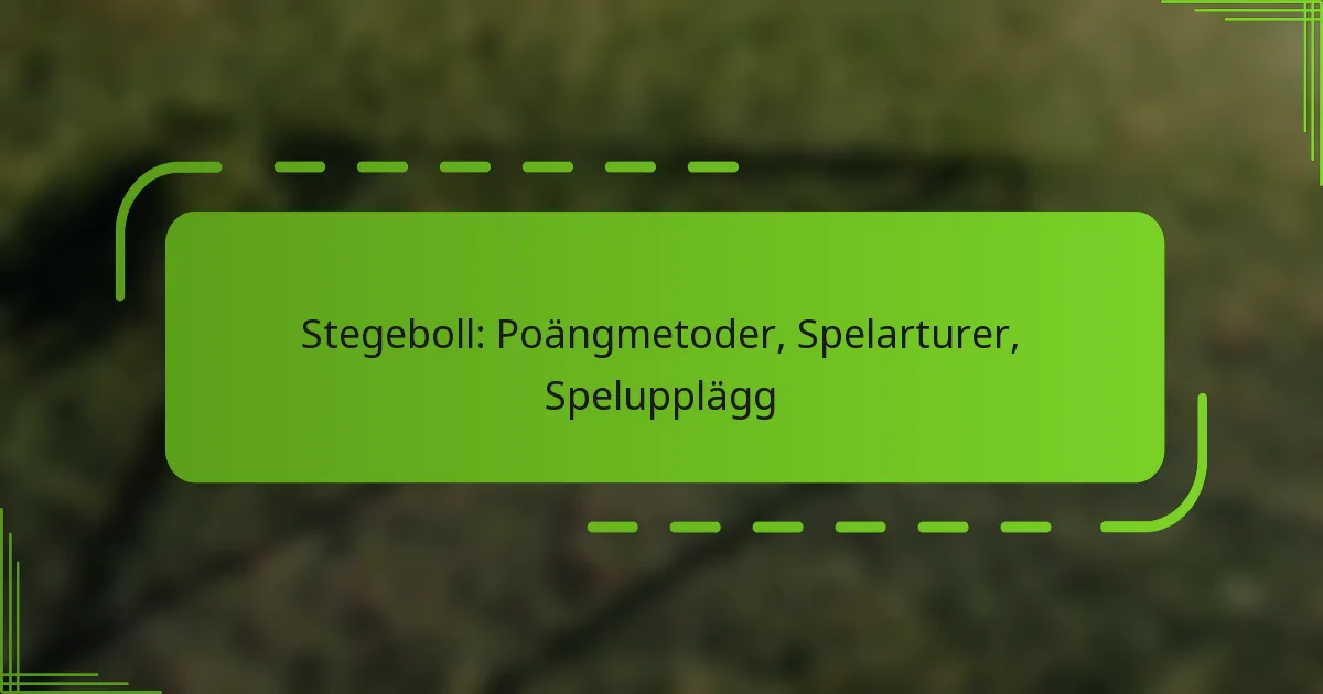 Stegeboll: Poängmetoder, Spelarturer, Spelupplägg