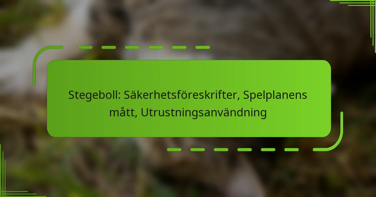 Stegeboll: Säkerhetsföreskrifter, Spelplanens mått, Utrustningsanvändning