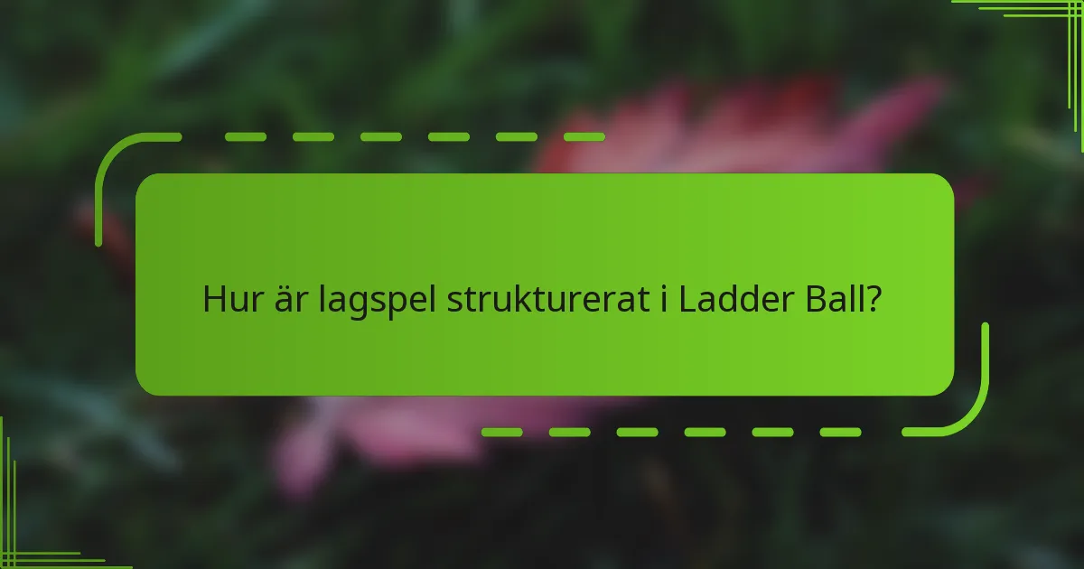 Hur är lagspel strukturerat i Ladder Ball?