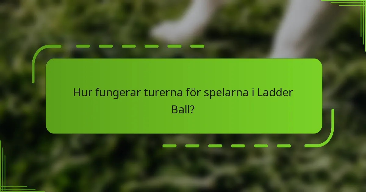 Hur fungerar turerna för spelarna i Ladder Ball?