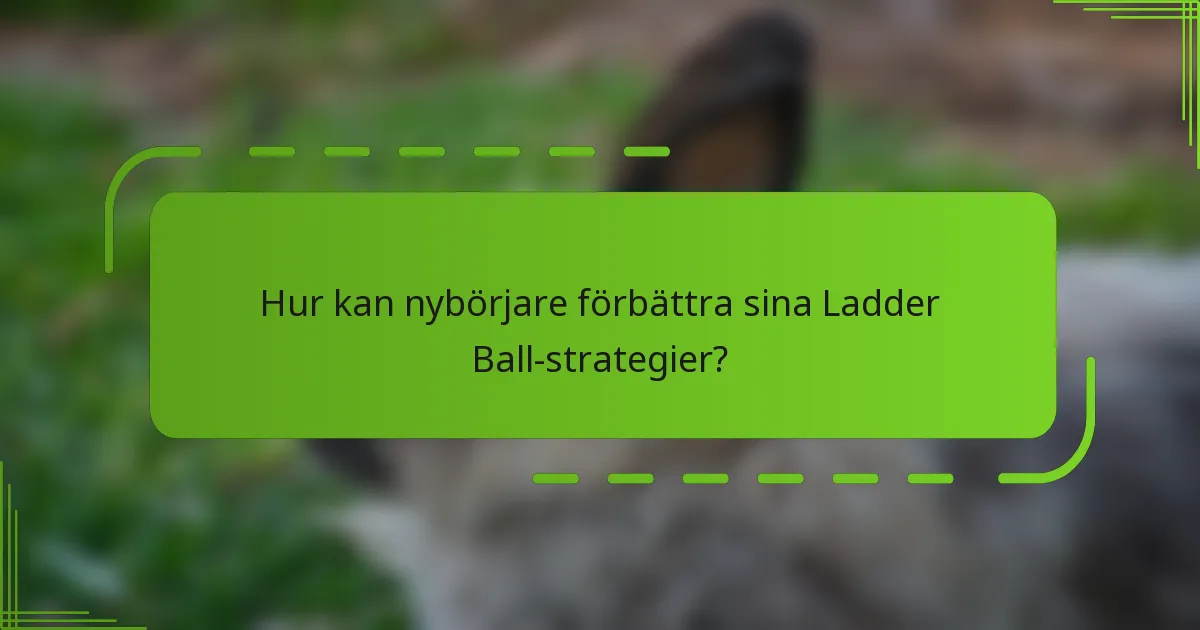Hur kan nybörjare förbättra sina Ladder Ball-strategier?