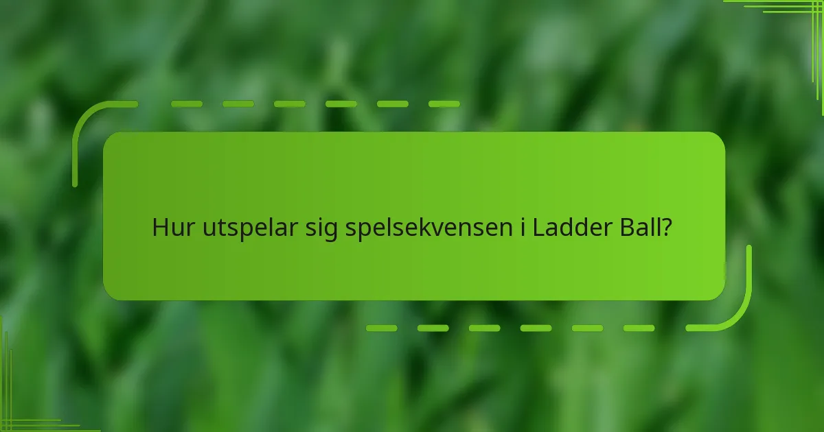 Hur utspelar sig spelsekvensen i Ladder Ball?