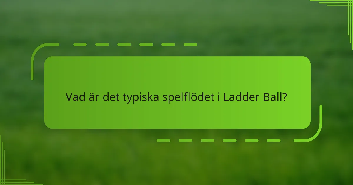 Vad är det typiska spelflödet i Ladder Ball?