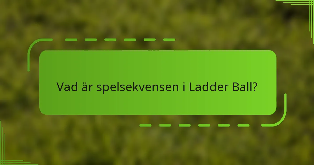 Vad är spelsekvensen i Ladder Ball?