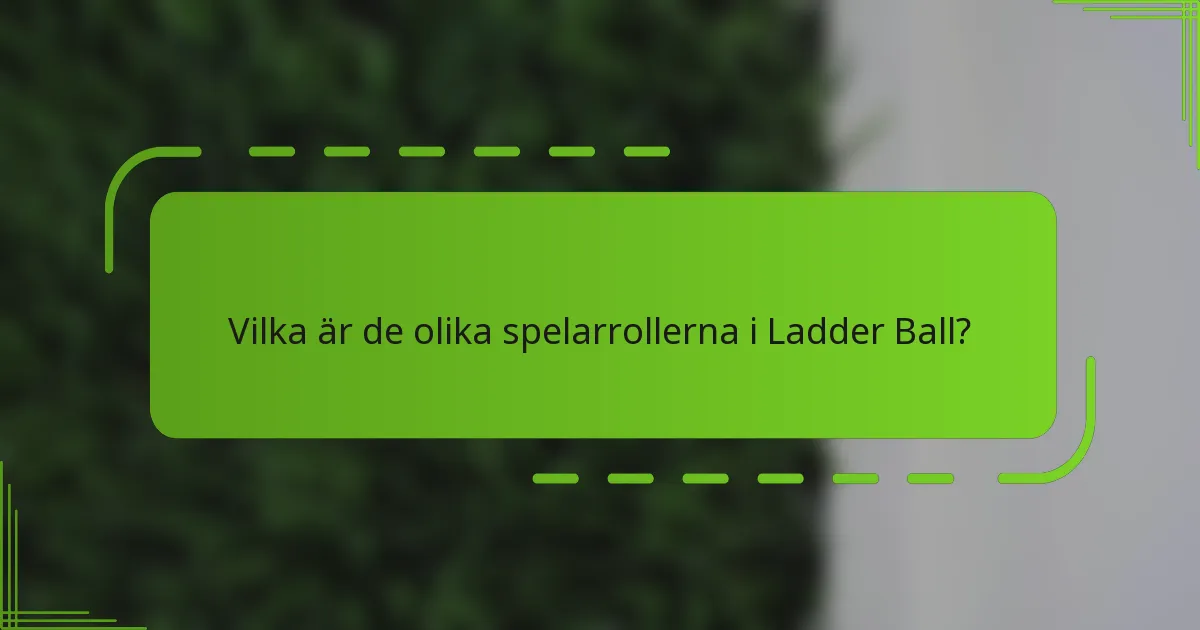 Vilka är de olika spelarrollerna i Ladder Ball?