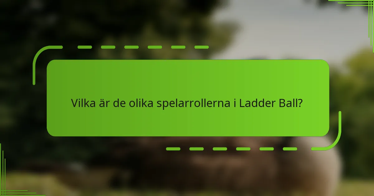 Vilka är de olika spelarrollerna i Ladder Ball?